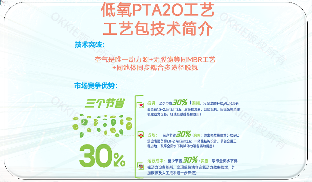 yaxin222低氧PTA2O工艺包